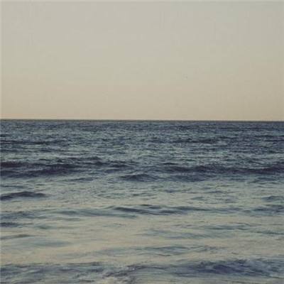 金年会体育下载app截图