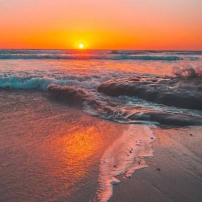 乐乐捕鱼官方网站截图