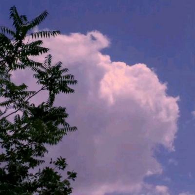 亚新综合平台·官方网站