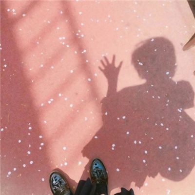 威尼斯会员登录